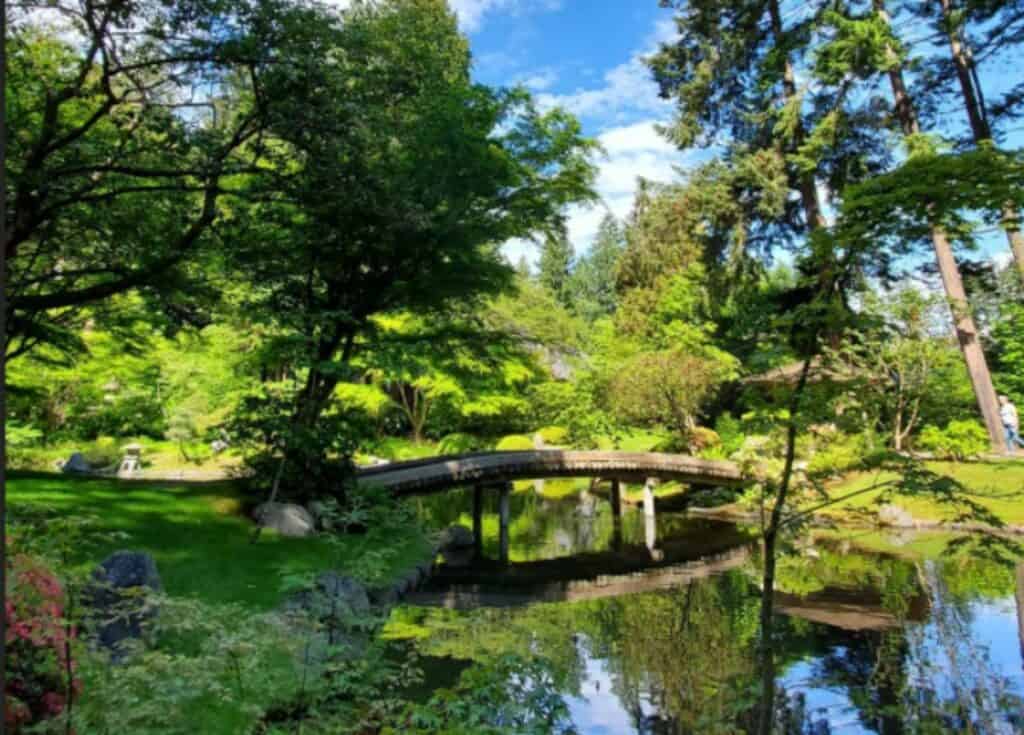 Japanese garden nitobe memorial park