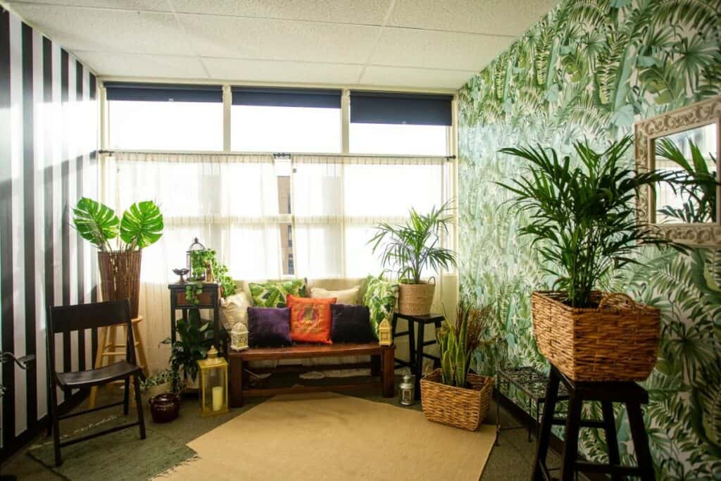 daylight studio in seattle with a jungle theme