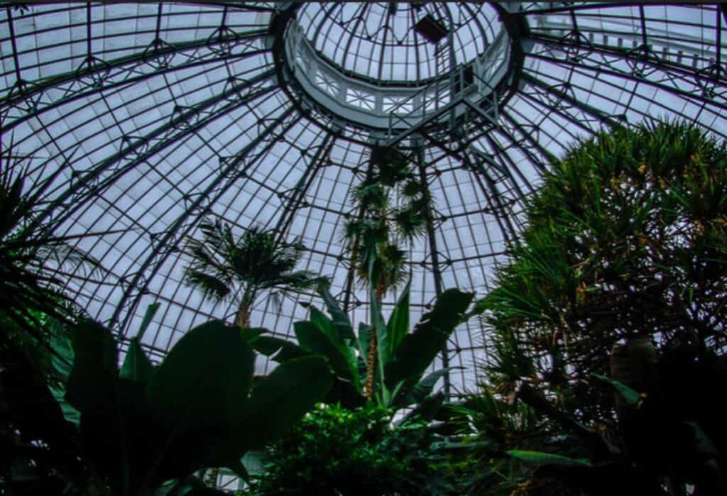 allan gardens conservatory in toronto