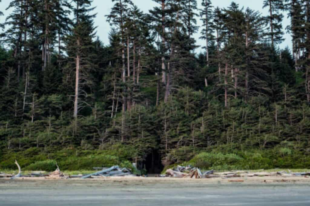 tofino beach in vancouver